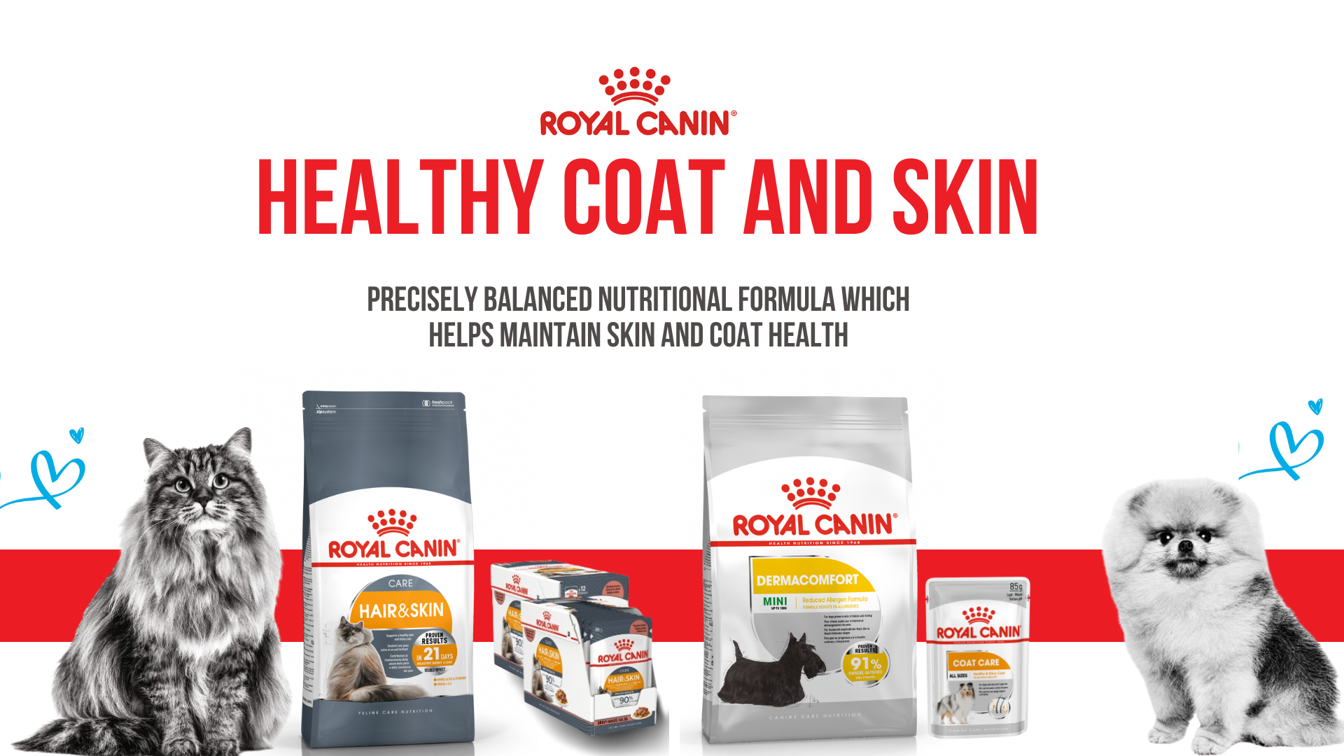 Healthy Skin and Coat