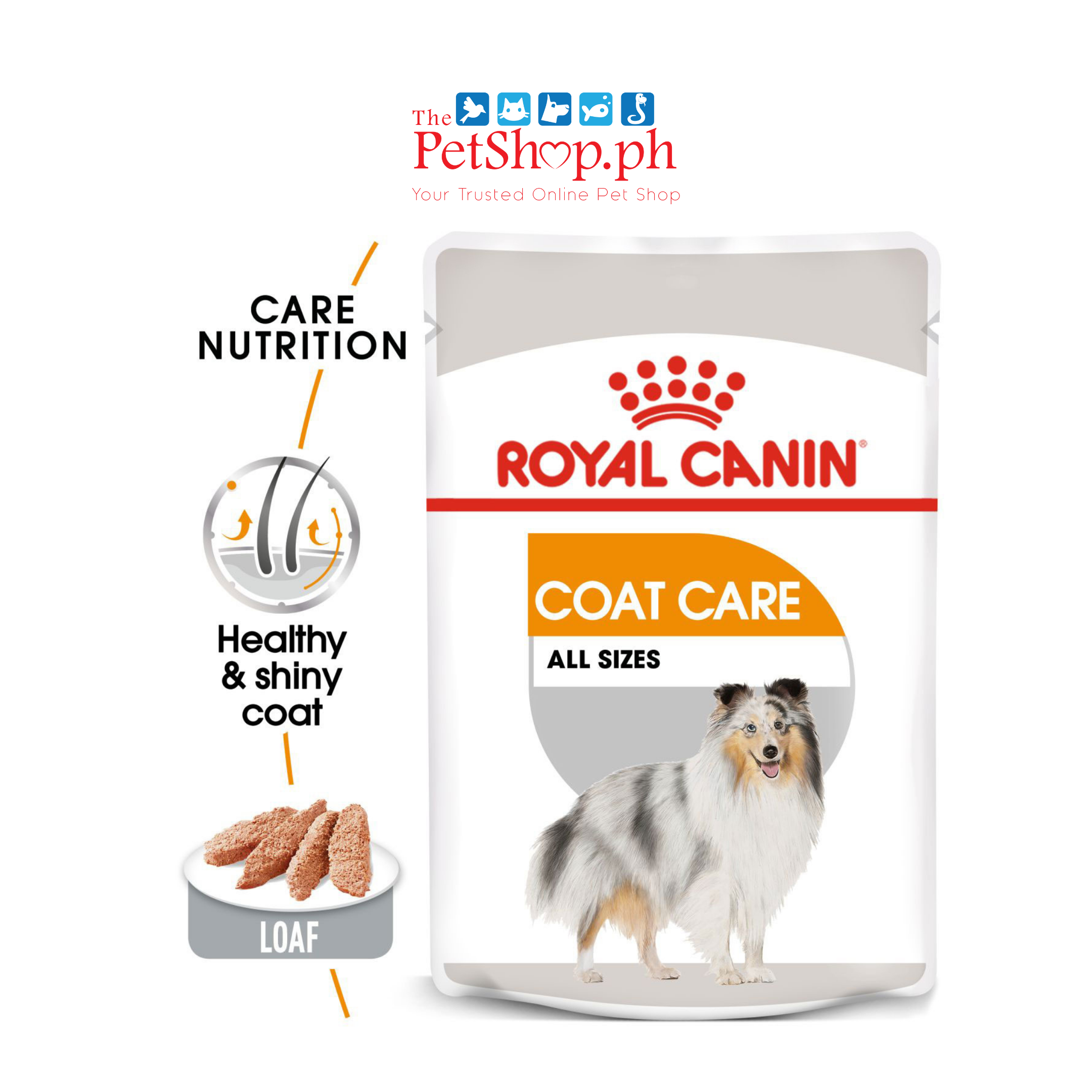 Royal Canin Coat Care  85g Set of 12 Adult Wet Dog Food -Canine Care Nutrition  For adult dogs over 10 months old - Dogs with dull and rough hair. All sizes.  HEALTHY & SHINY COAT Precisely balanced nutritional formula which support a full & rich hair growth for coat vigor and shine.  CANINE CARE NUTRITION PROGRAMME Providing a healthy & balanced nutrition with the perfect combination of our dry & wet formulas.