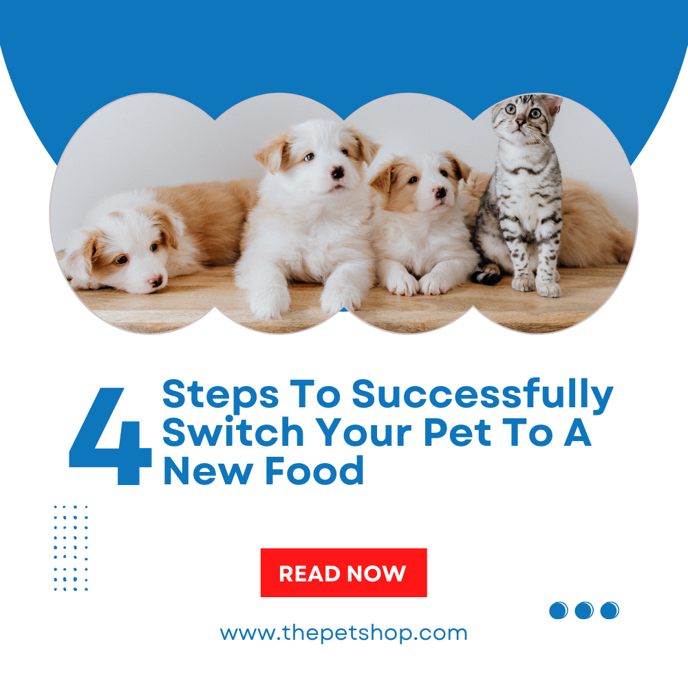 Steps to Successfully Switch your Pet to a New Food