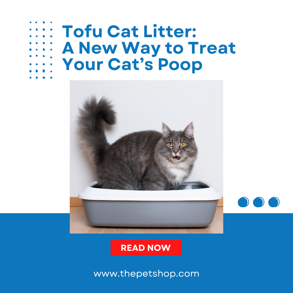 Tofu Cat Litter: A New Way to Treat Your Cat’s Poop