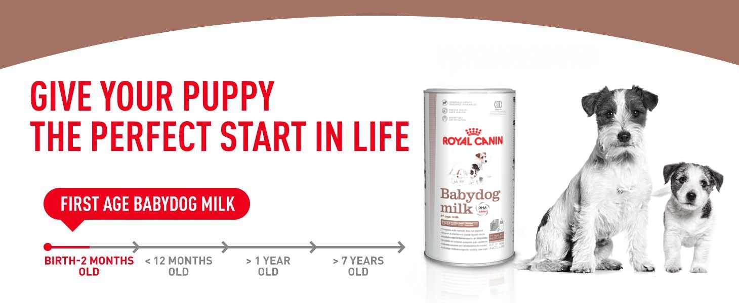 Baby Dog Milk