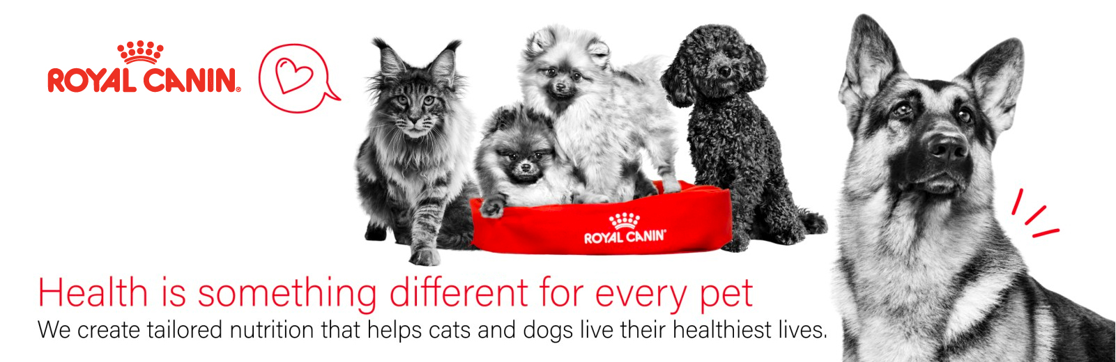 Royal Canin Banner