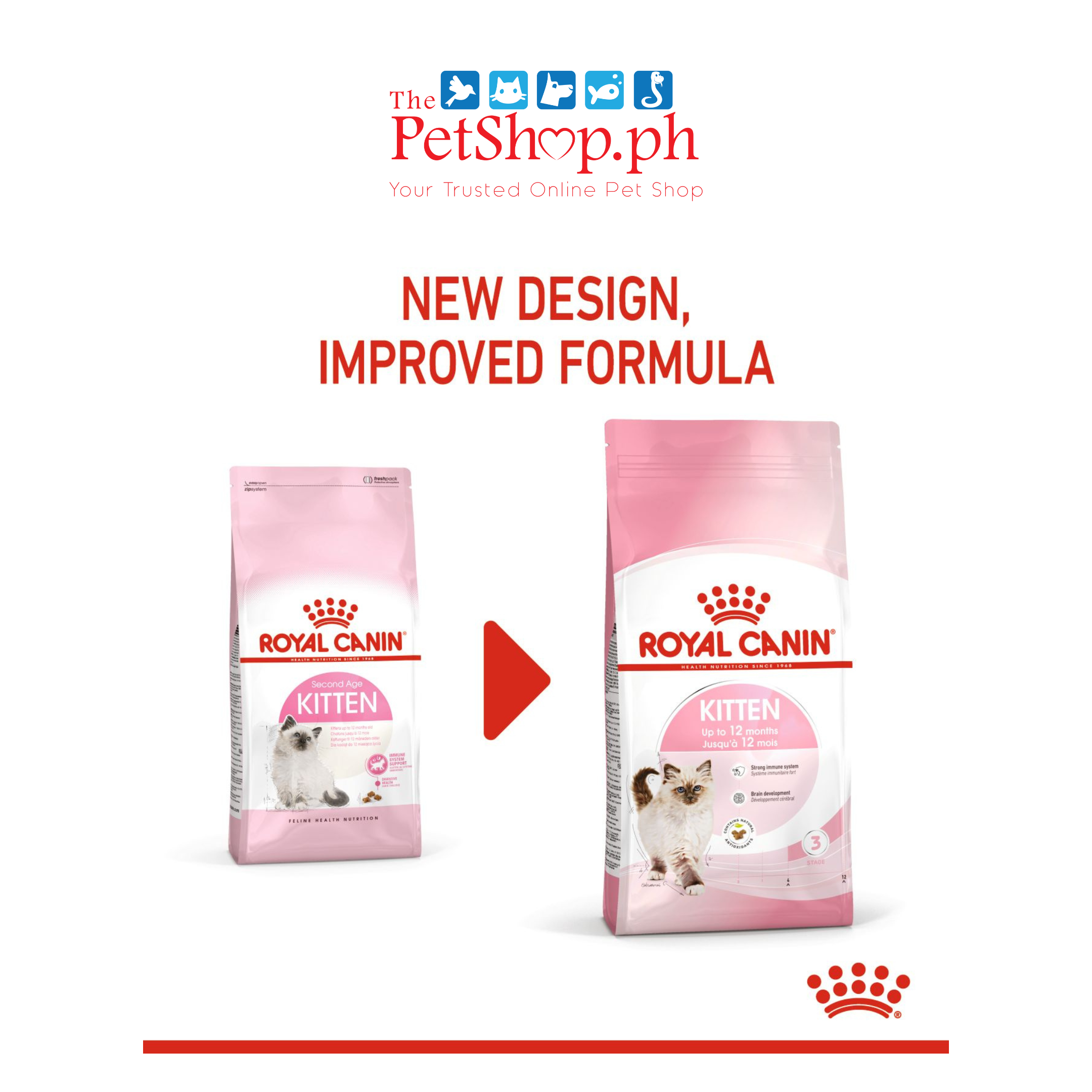 Royal Canin Kitten 2kg Dry Cat Food  Feline Health Nutrition