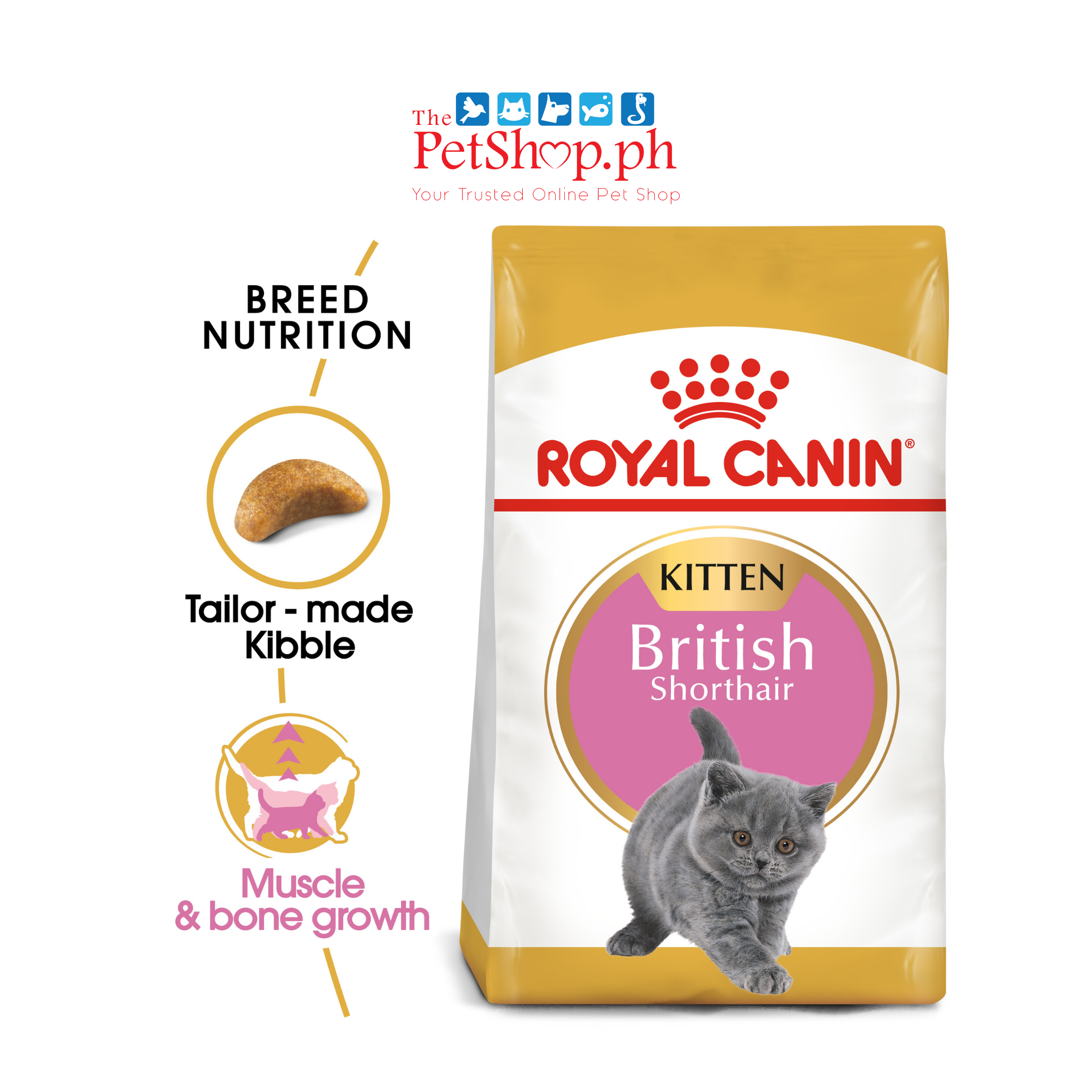 Royal British Shorthair 2kg. Kitten Dry Cat Food -Feline Breed Nutrition 