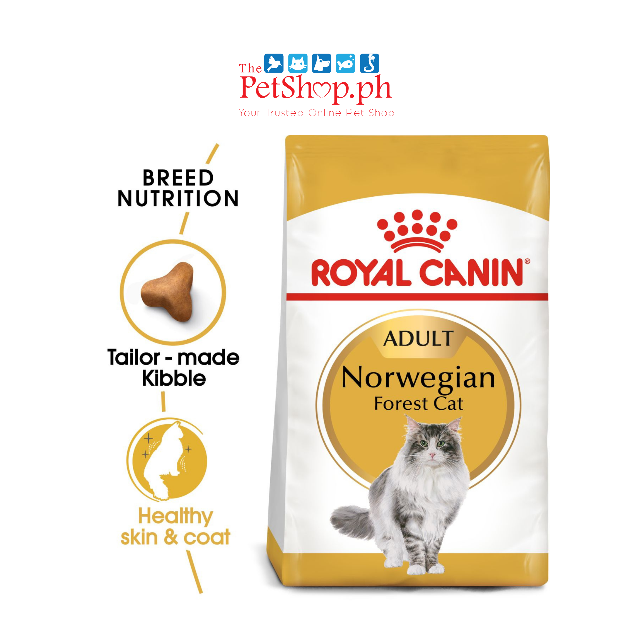 Royal Canin Norwegian Forest 2kg Adult Dry Cat Food - Feline Breed Nutrition