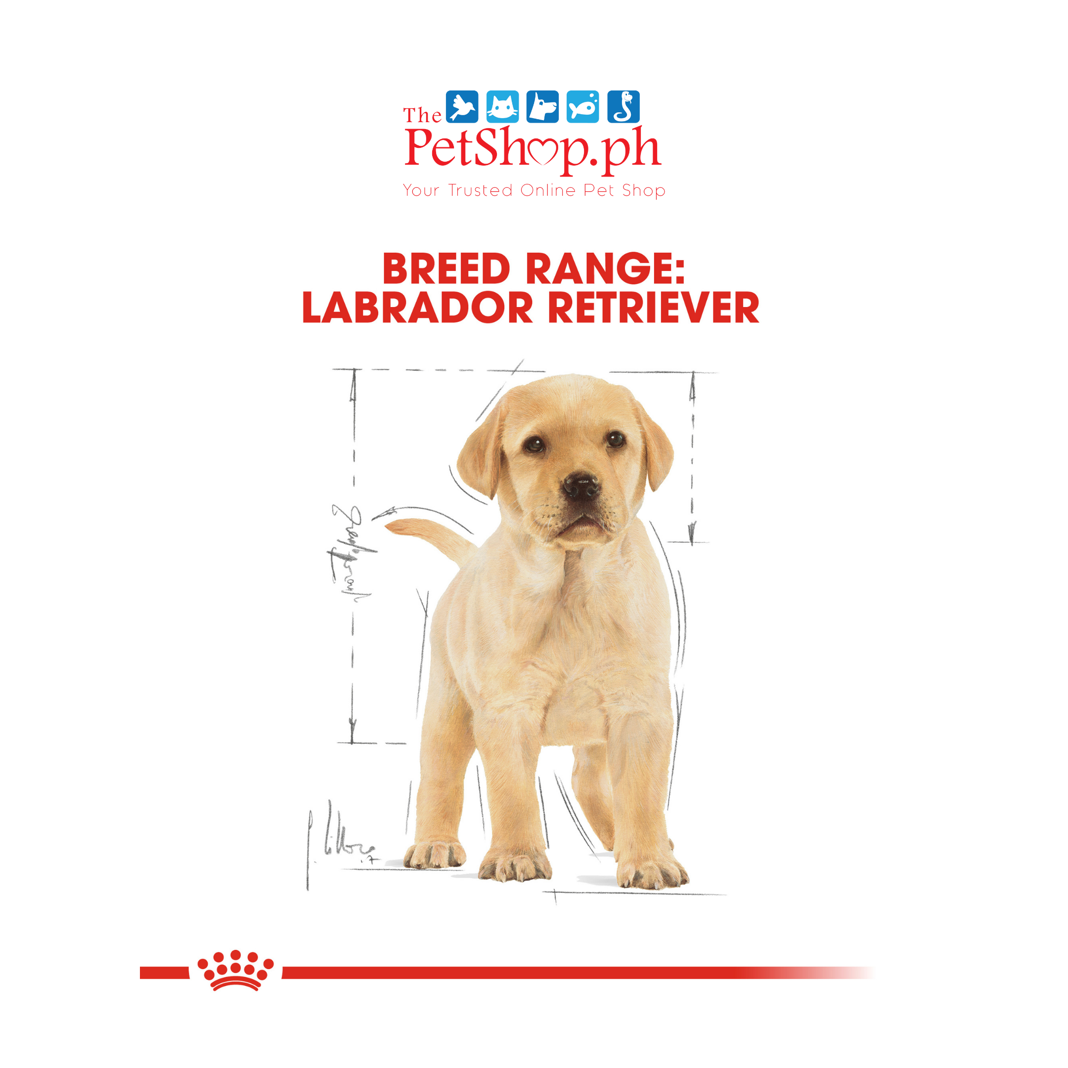 Royal Canin Labrador Retriever 3kg Puppy Dry Dog Food -Breed Health Nutrition