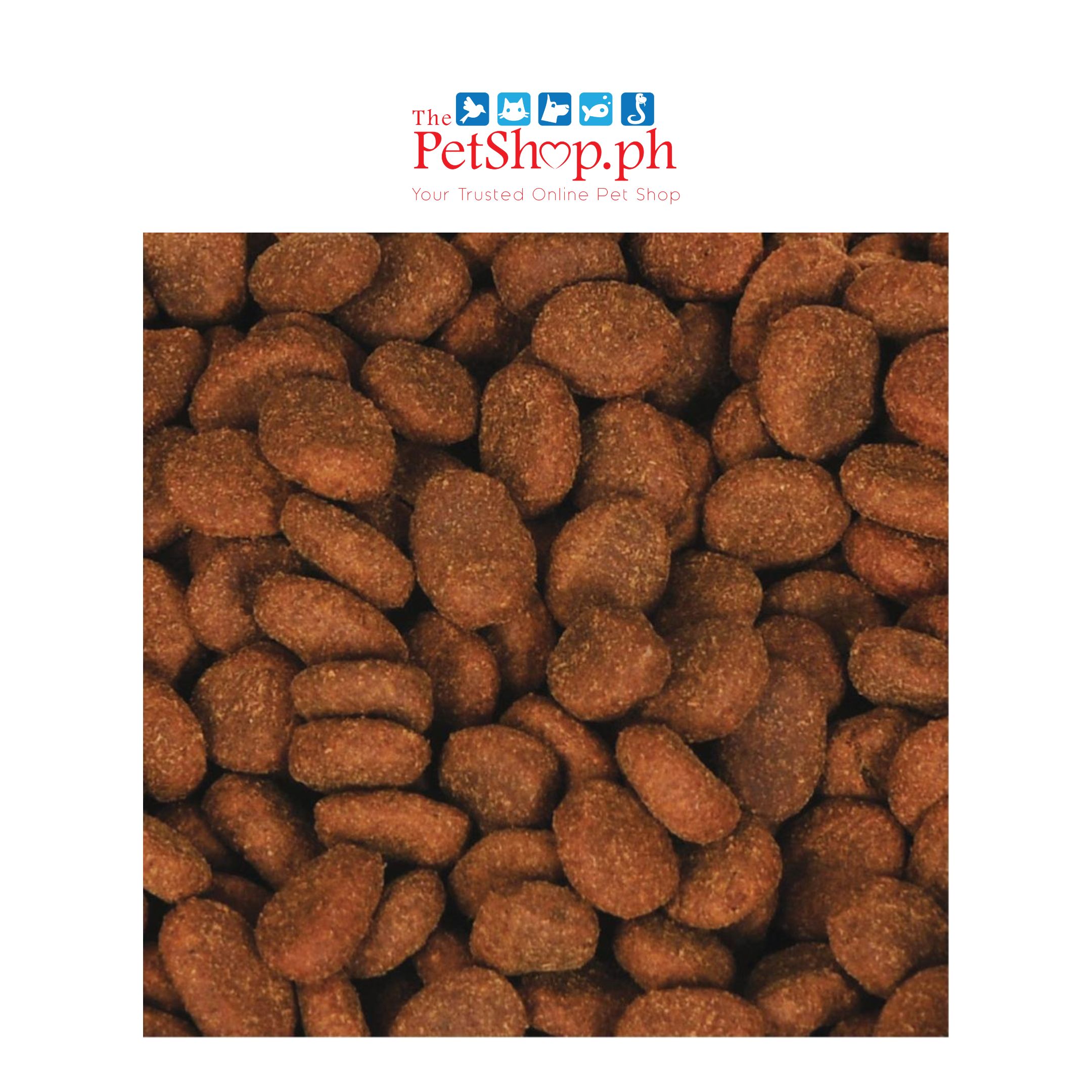 Orijen Original Dry Dog Food