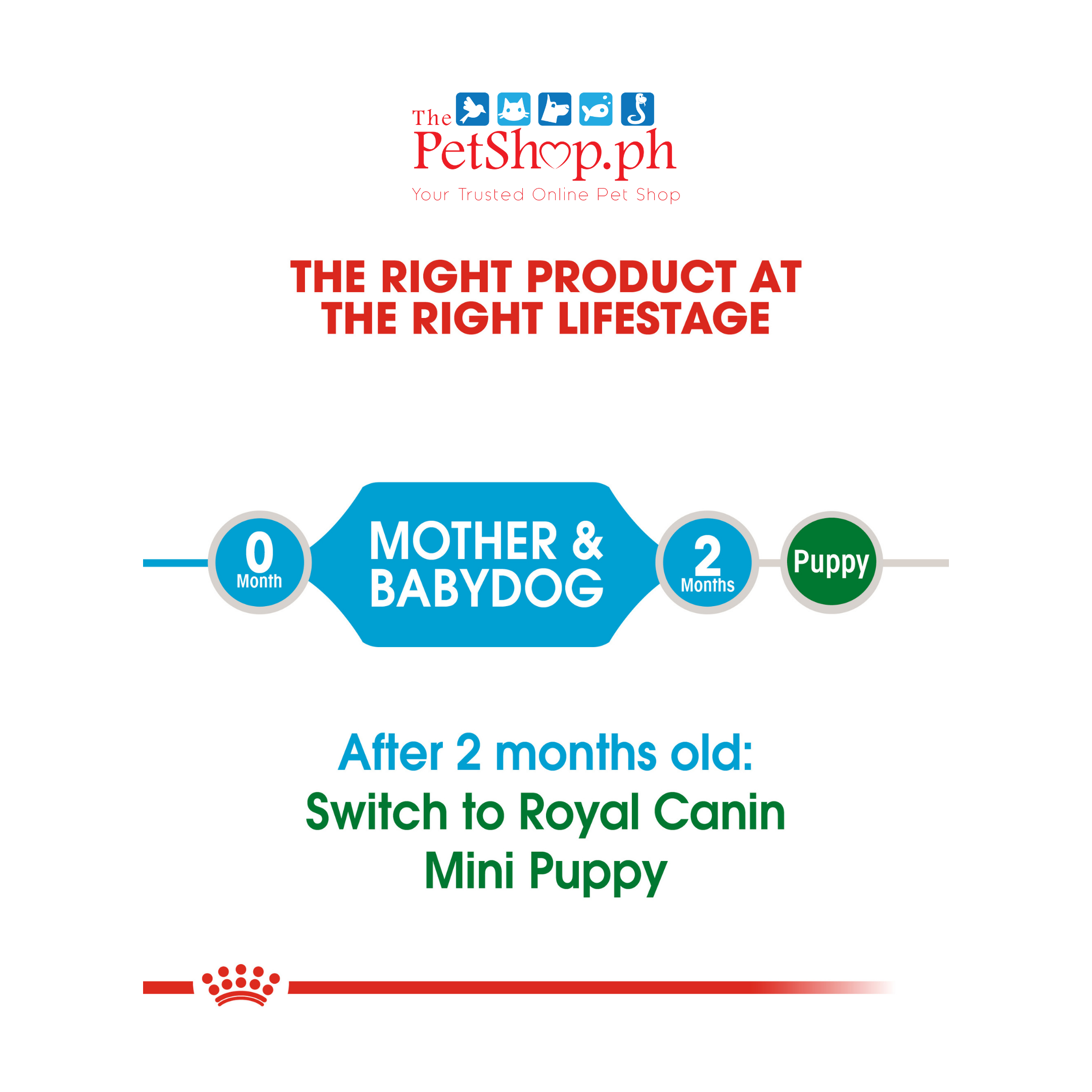 Royal Canin Mini Starter Mother & Babydog  1kg Dry Dog Food - Size Health Nutrition