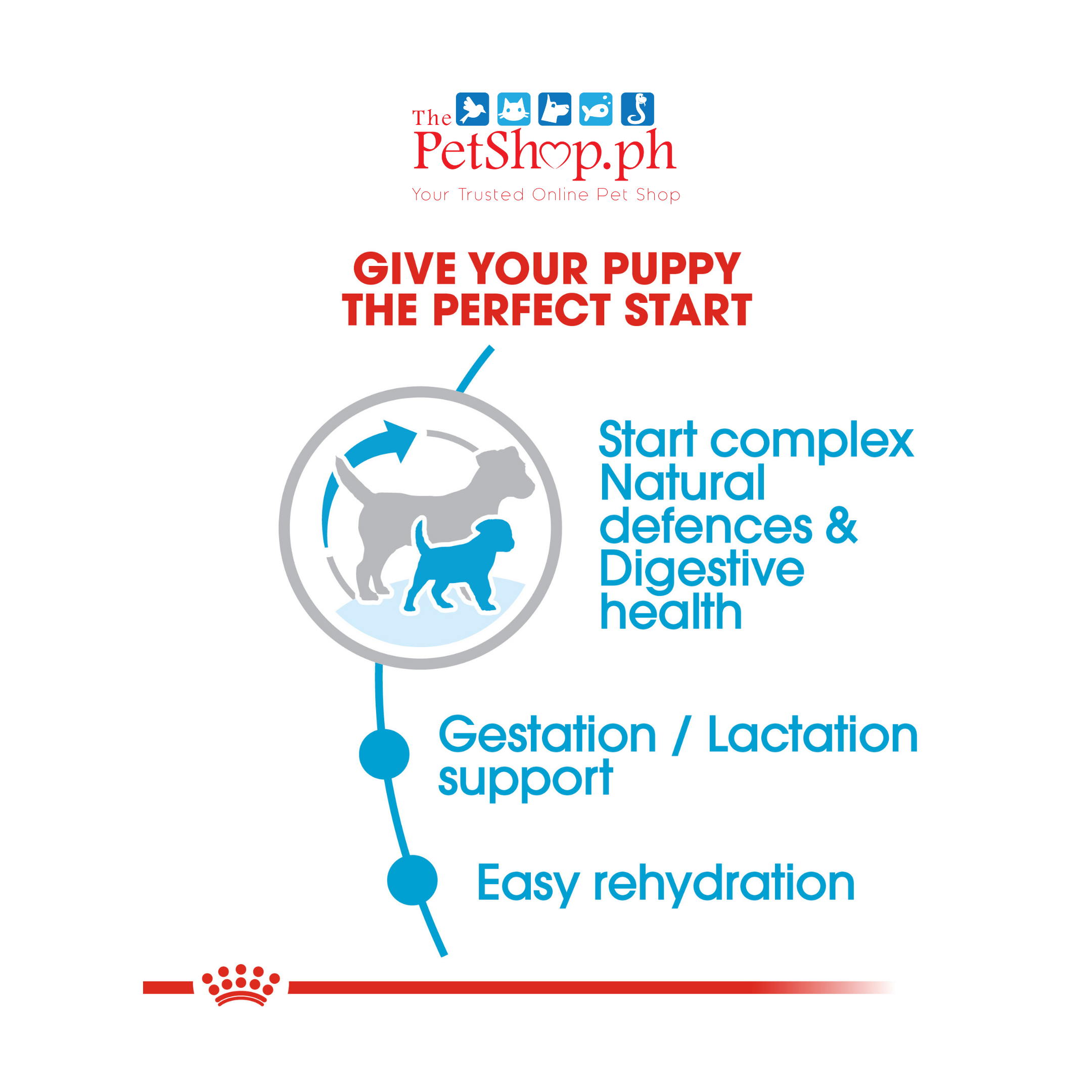 Royal Canin Mini Starter Mother & Babydog  1kg Dry Dog Food - Size Health Nutrition