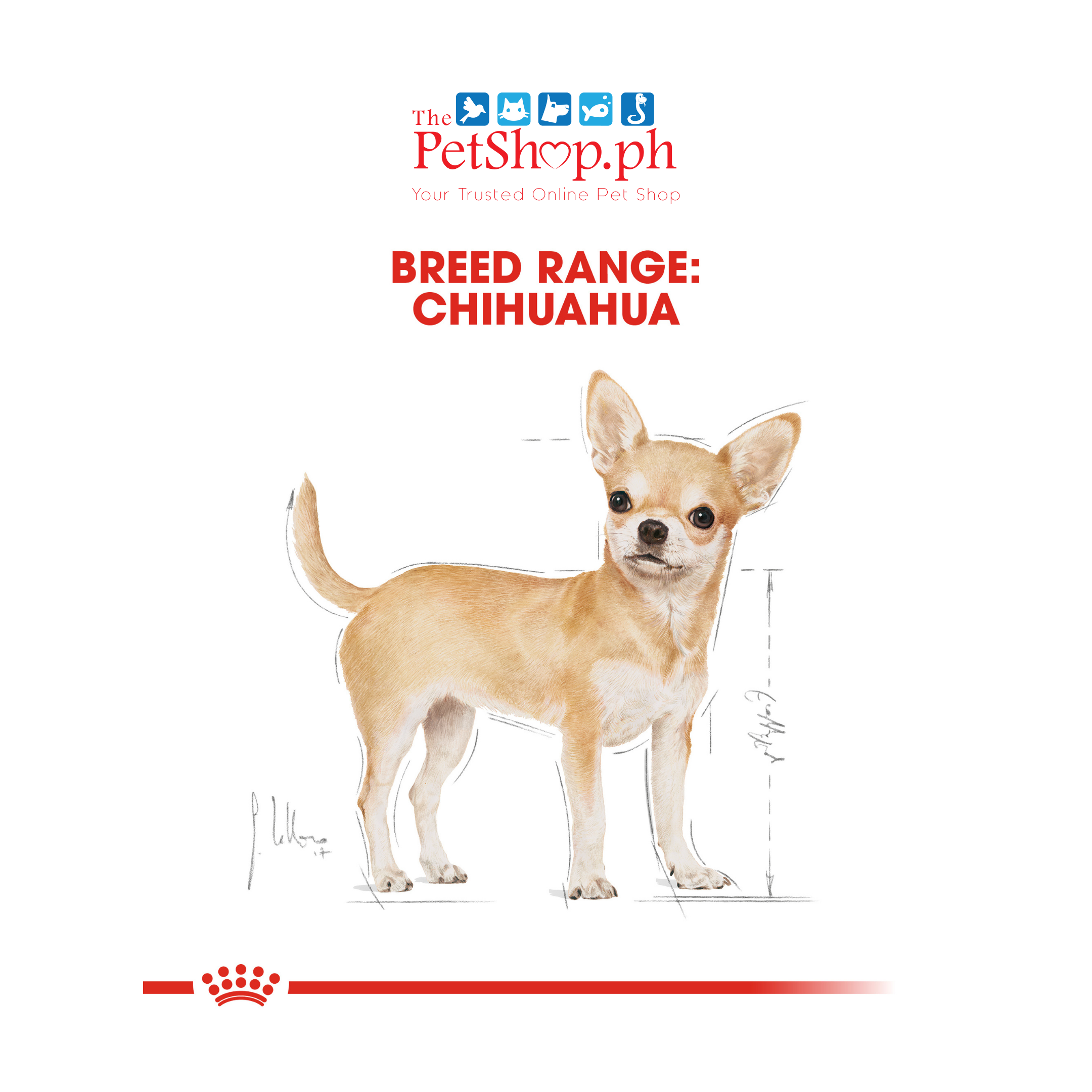 Royal Canin Breed Health Nutrition Chihuahua Adult Dry Dog Food 1.5KG