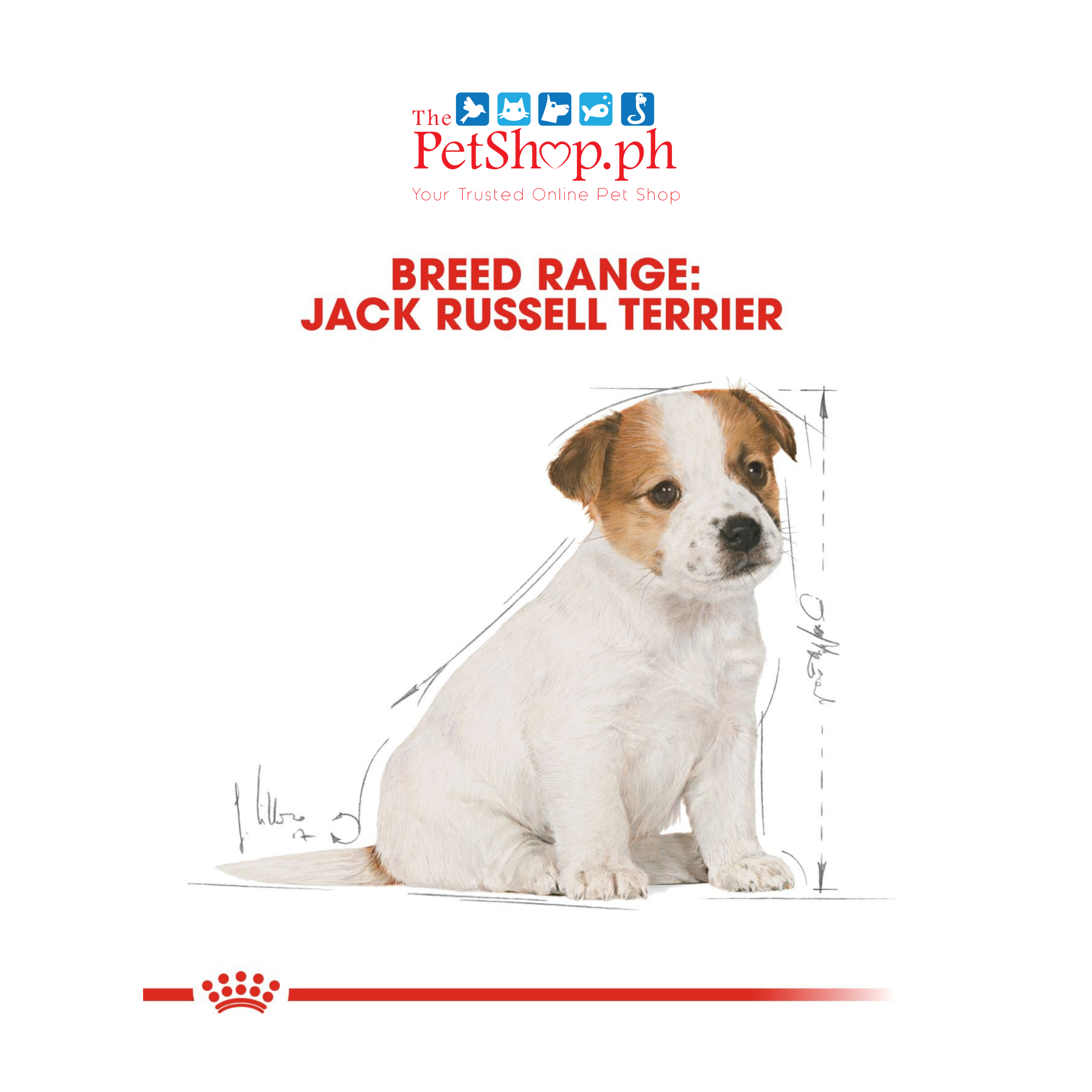 Royal Canin Jack Russell Terrier Puppy 1.5kg Original  Dry Dog Food - Breed Health Nutrition