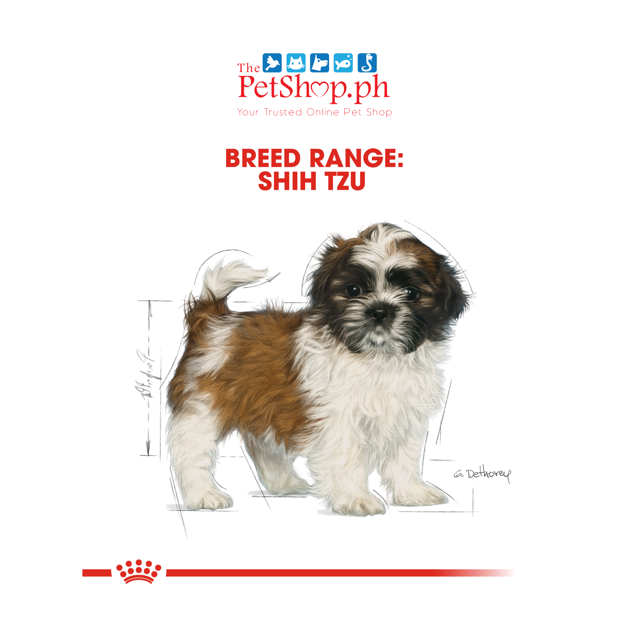 Royal Canin Shih Tzu Puppy Dry Dog Food - Breed Health Nutrition