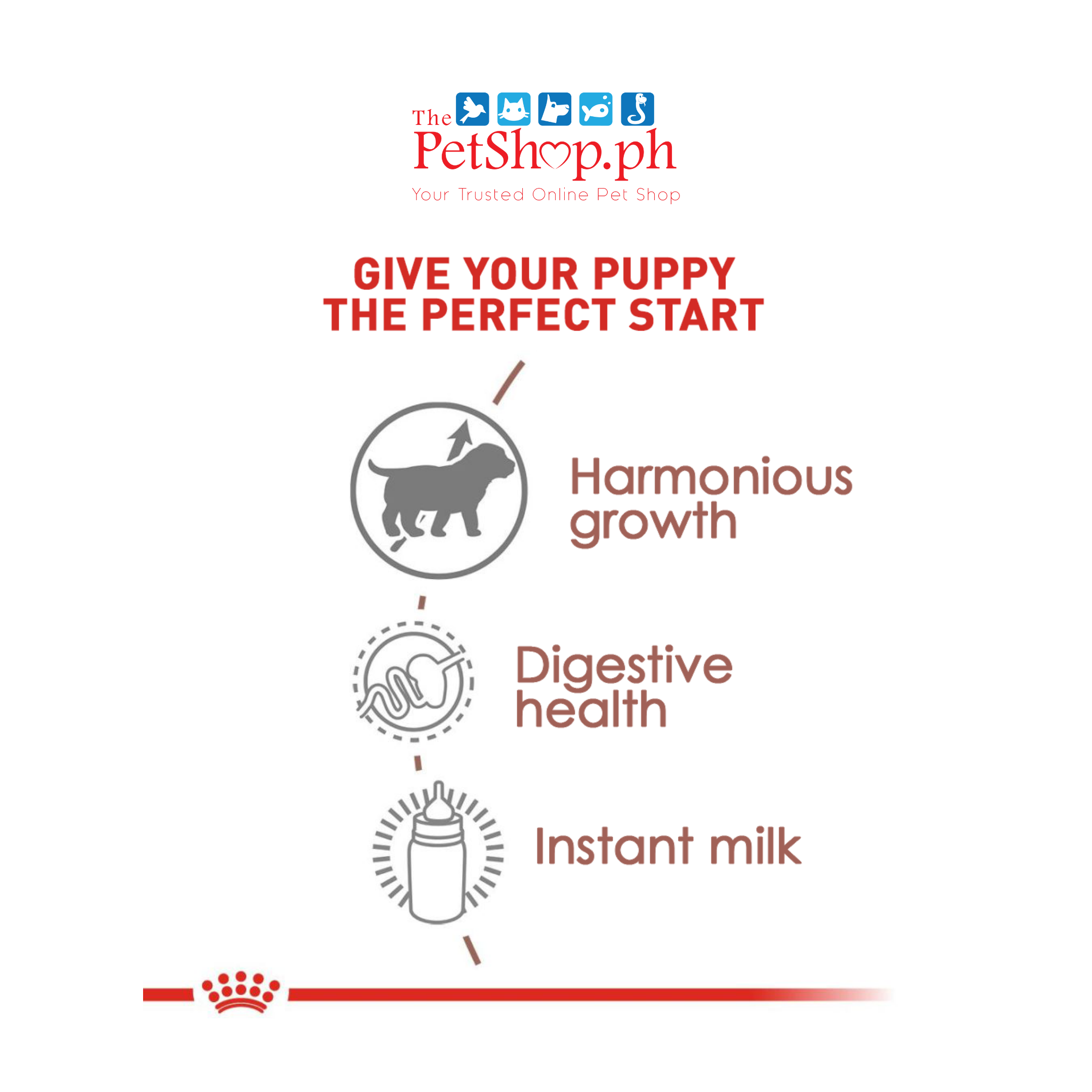 Royal Canin Babydog Milk 400g Original