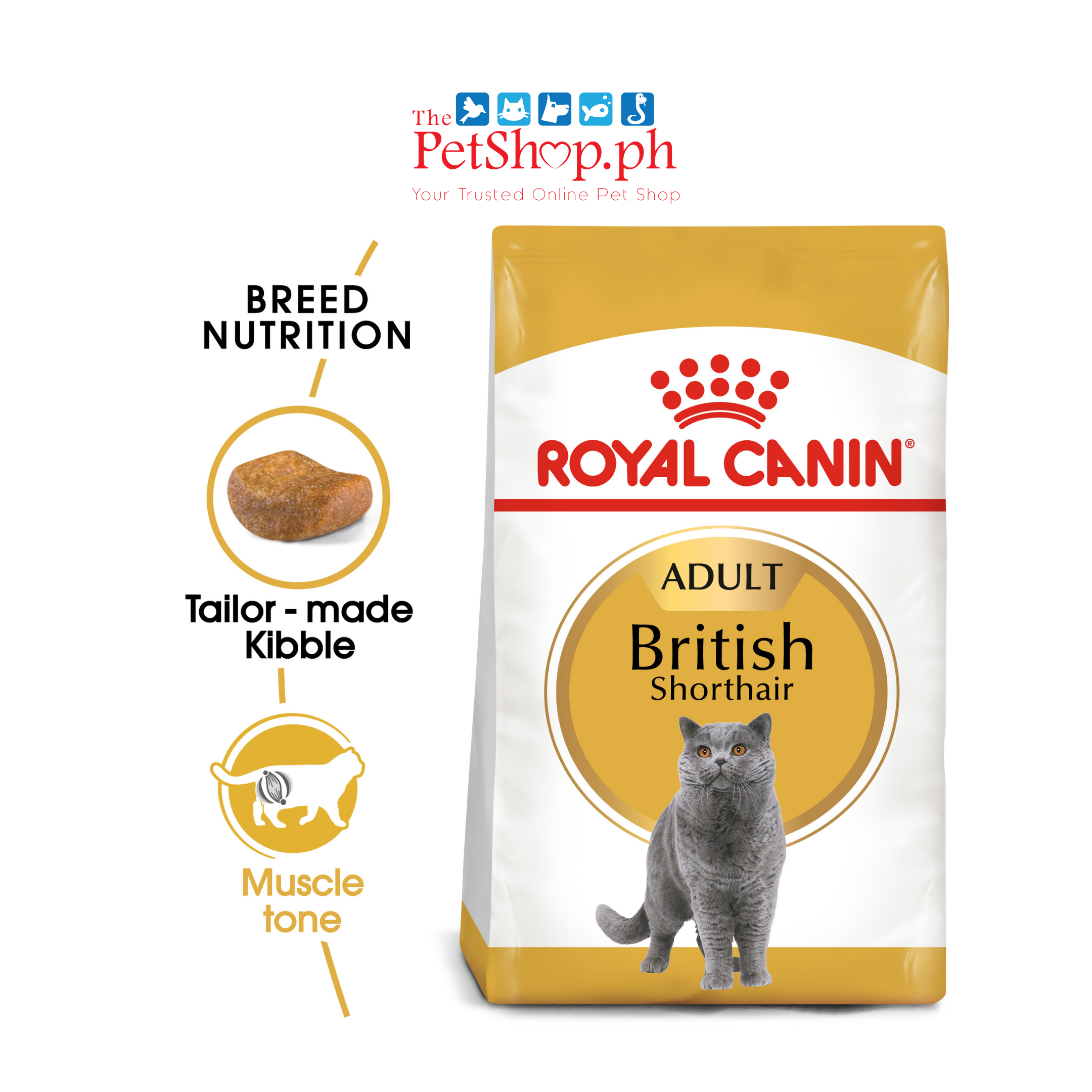 Royal Canin British Shorthair 2kg Adult